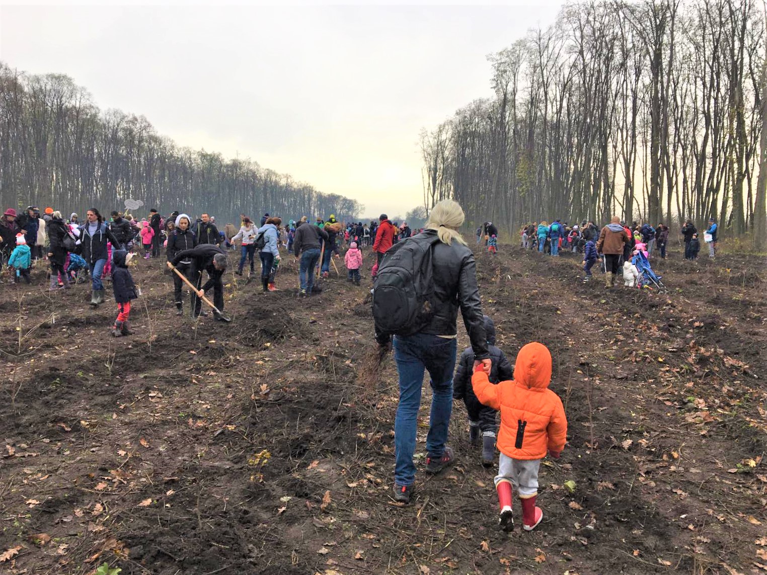 Copiii ocrotesc România! Cum a fost la campania de împădurire „Mic și ecologist”